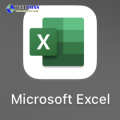 Chèn ảnh vào Excel vừa ô trong Excel nhanh và đơn giản