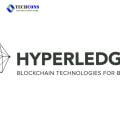 Đánh giá phần mềm blockchain Hyperledger Fabric